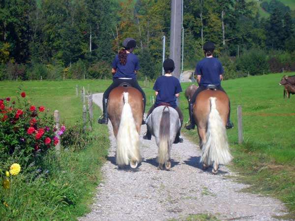 Reiten in Mogelsberg