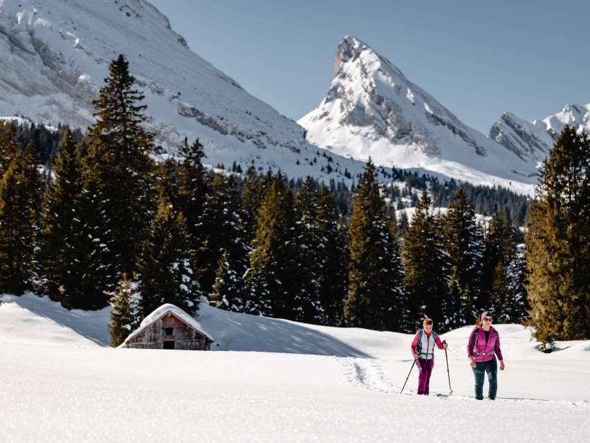 Winterwandern & Schneeschuhlaufen