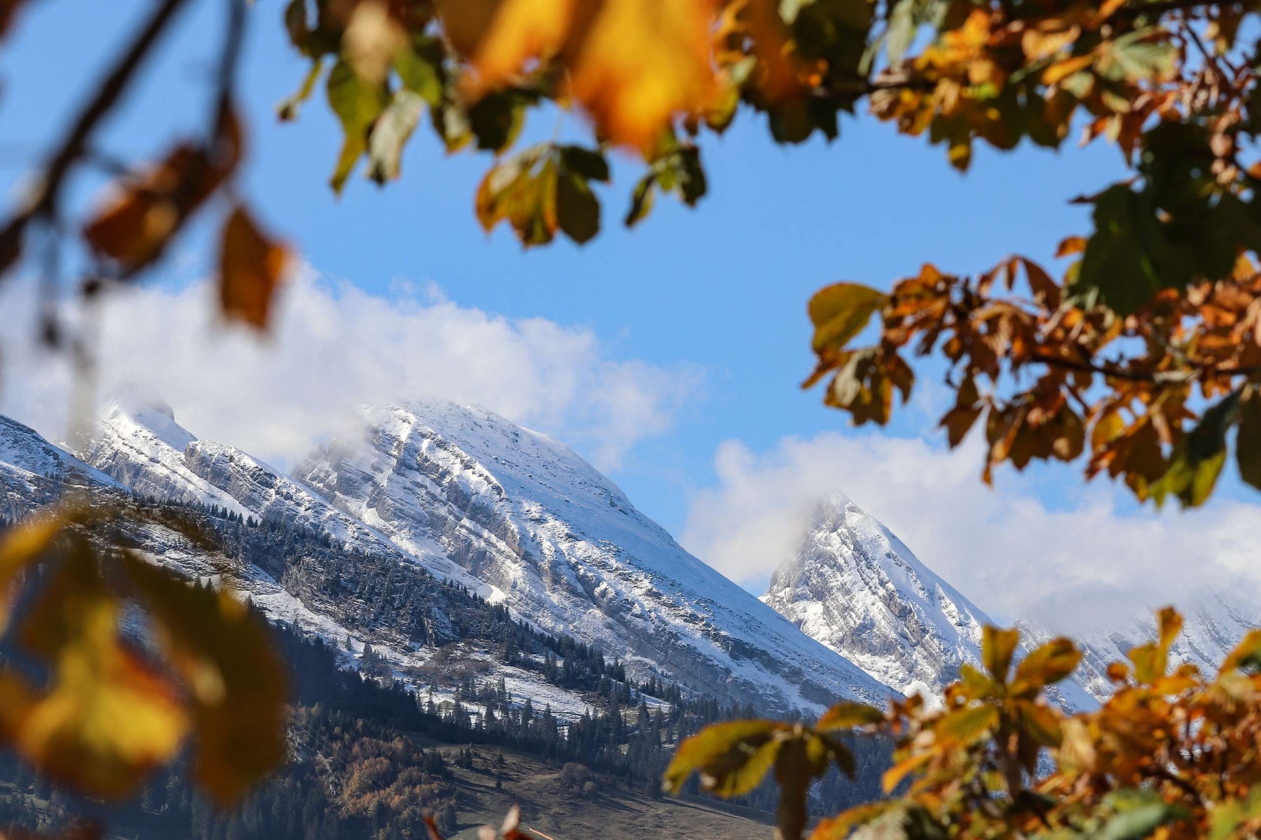 sonnig, Tag, unbearbeitet 2024