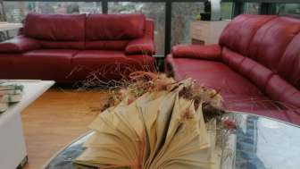 Bibliothek und Ludothek Nesslau
