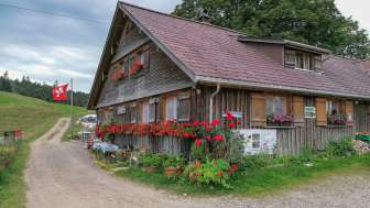 Alpwirtschaft Älpli