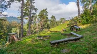 Grillplatz Alp Ergeten 1, Mosnang